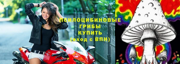 спайс Алексин