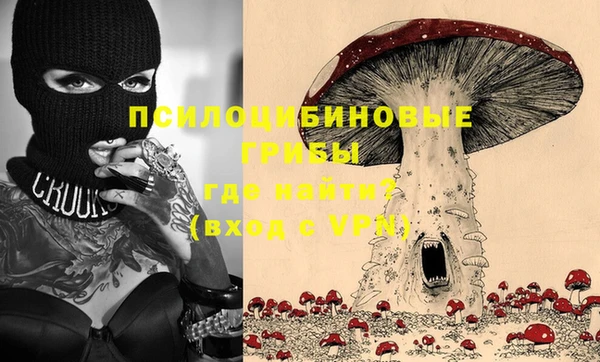 спайс Алексин