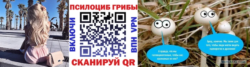 Галлюциногенные грибы мухоморы  магазин  наркотиков  OMG вход  Курлово 